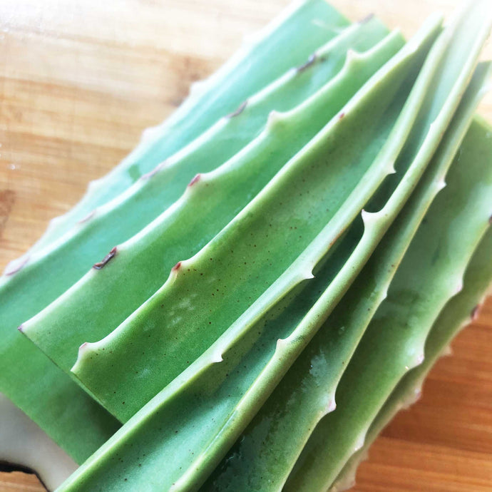 Fresh Aloe Vera Leaf Benefits